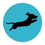 Doggo Ramps discount code